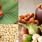 Hazelnuts (Fındıklar) Nasıl Tüketilir?